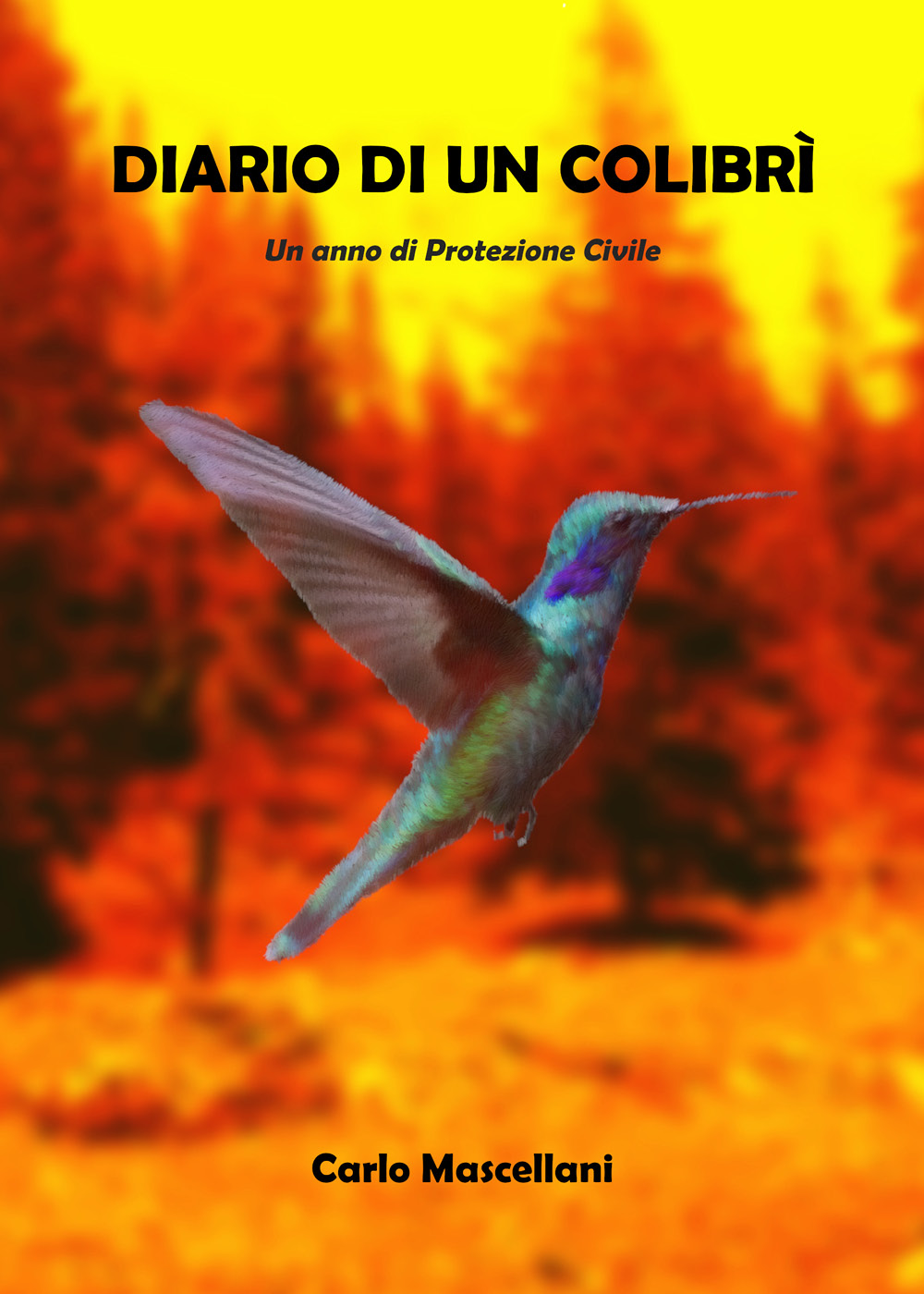Libro Diario di un colibrì